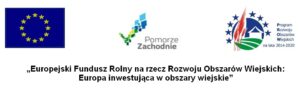 Logosy inwestycji - Przebudowa i wyposażenie budynku świetlicy wiejskiej w Łubowie