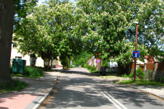 Szlak wiedzie obok ul. Lipowej - najstarszej części miasta Borne Sulinowo.