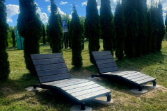 IMG-20251029-WA0009
