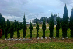 IMG-20251029-WA0012