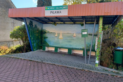 Pilawa-zdj.-3