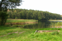 Miejsce, gdzie rzeka Piława wypływa z jeziora Pile