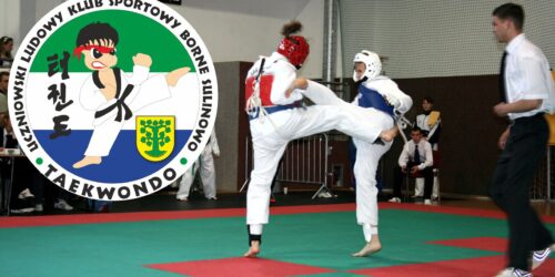 Oferta Uczniowskiego Ludowego Klubu Sportowego „Taekwondo” pn. „Obóz Sportowy w Centralnym Ośrodku Sportu w Wałczu” złożona w trybie „małych grantów” w 2024 r.