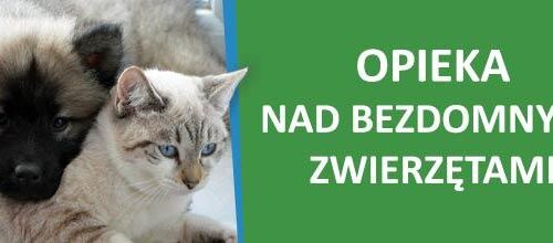 Opiniowanie projektu „Programu opieki nad zwierzętami bezdomnymi oraz zapobiegania bezdomności zwierząt na terenie Gminy Borne Sulinowo na rok 2025”