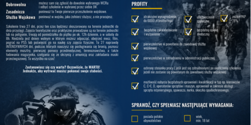 Dobrowolna Zasadnicza Służba Wojskowa (DZSW)