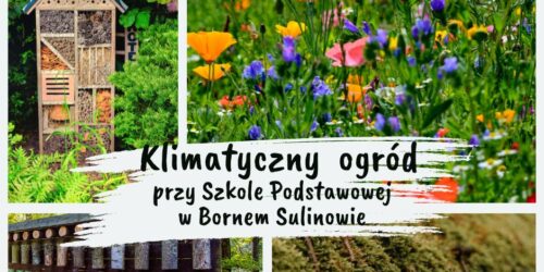 Klimatyczny ogród przy szkole w Bornem Sulinowie